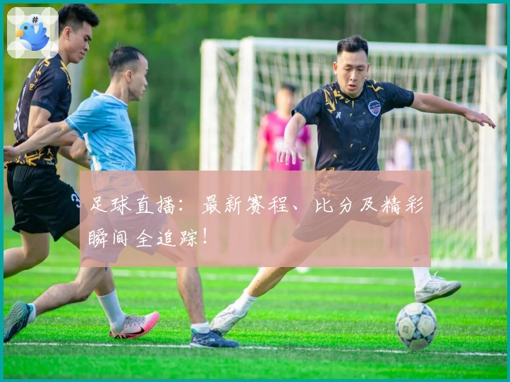 足球直播：最新赛程、比分及精彩瞬间全追踪！